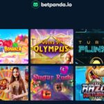 Betpanda Casino DE Gallery